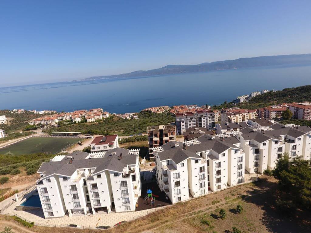 Proje